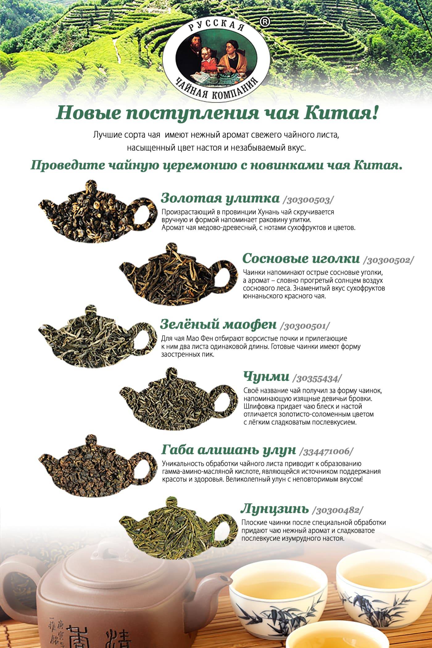 Чайный напиток: разнообразие чая, рецепты приготовления