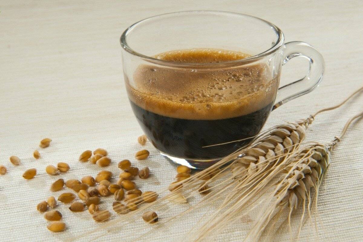 Кофе с цикорием – польза и вред, рецепты, способ приготовления