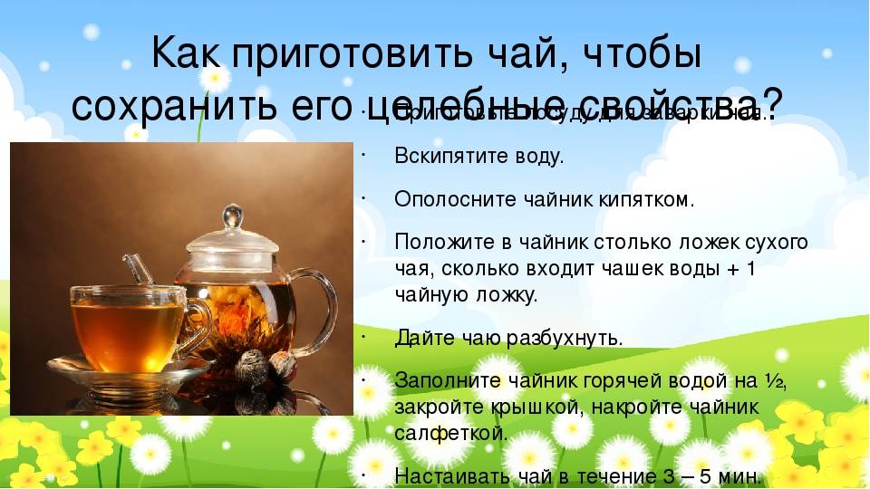 Чай с душицей: полезные свойства и вред для здоровья
