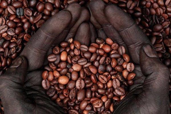 Кенийский кофе