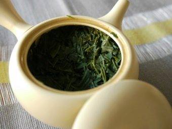 Чай Сенча, описание, польза и вред