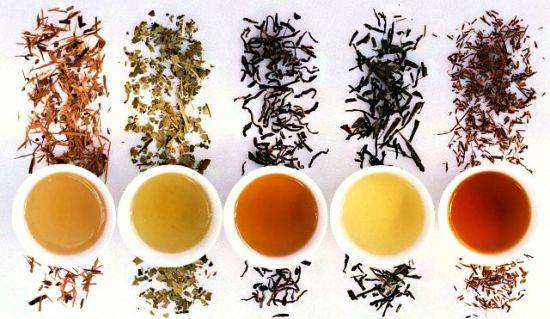 Какой чай называют свежий и как его отличить от старого
