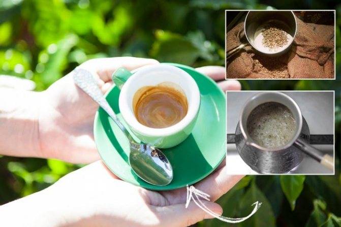 Зеленый кофе для похудения рассмотрим древние секреты напитка