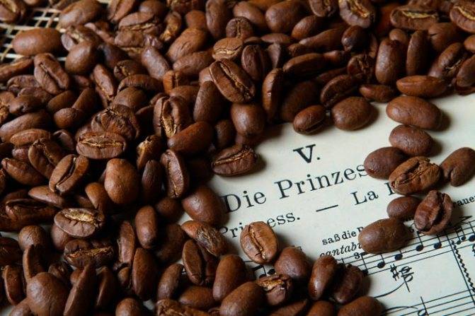 Сорта кофе: список с характеристиками и названиями