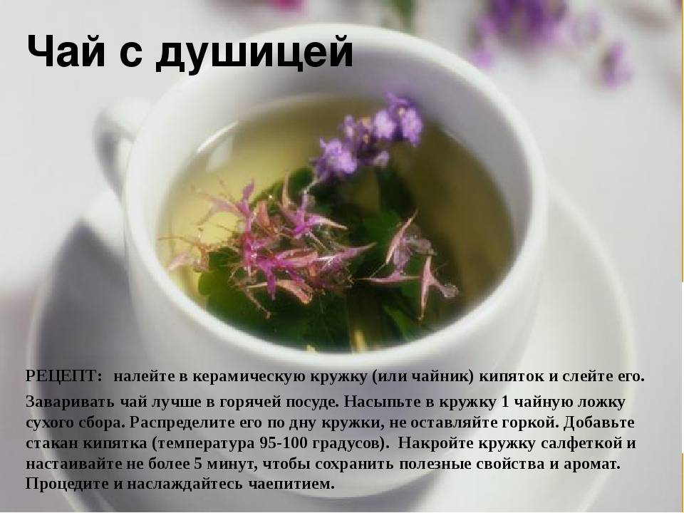 Чай с шалфеем: польза и вред для женщин и мужчин