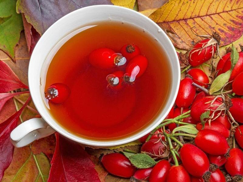 Как сделать чай с барбарисом для оздоровления и тонуса?