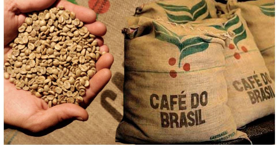 Бразильский кофе: лучшие сорта и способы заваривания
