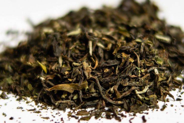 Черный чай, индийский чай: заготовка, качество чая