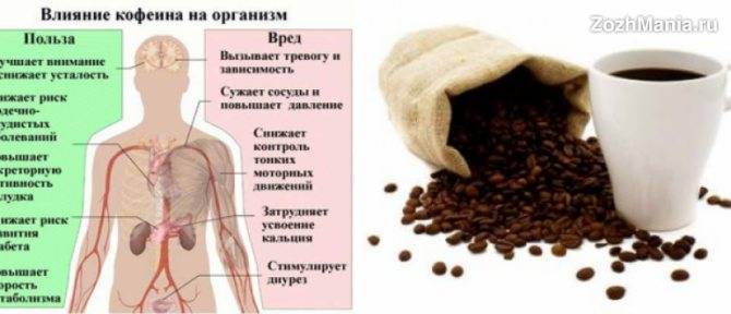 Кофе расширяет или сужает сосуды головного мозга