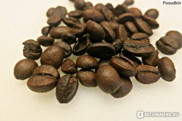 Особенности производства самого дорого кофе Блэк Айвори