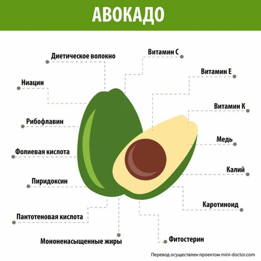 Польза авокадо для здоровья. 3 полезных рецепта с авокадо