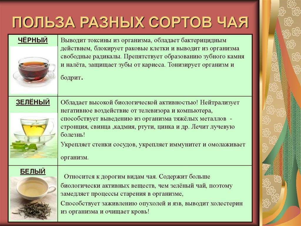 Чай vs кофе: диетолог рассказала о пользе и вреде напитков // нтв.ru