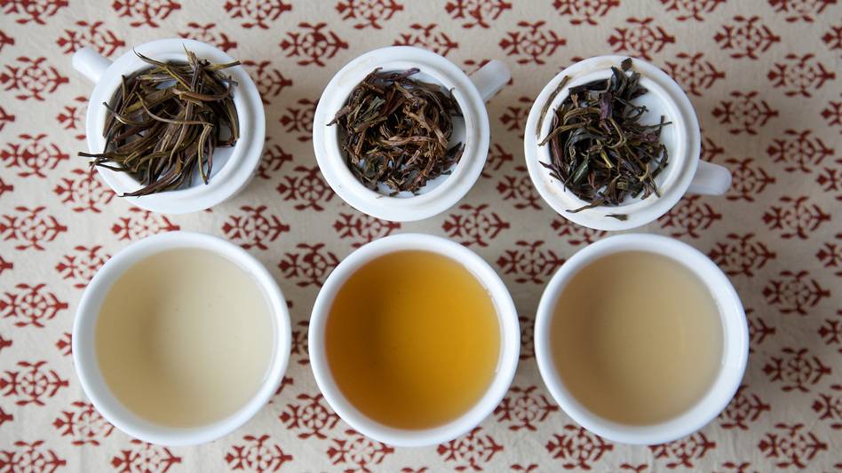 Россияне любят чай – и кенийский тоже: топ 5 разновидностей популярного напитка — agroxxi