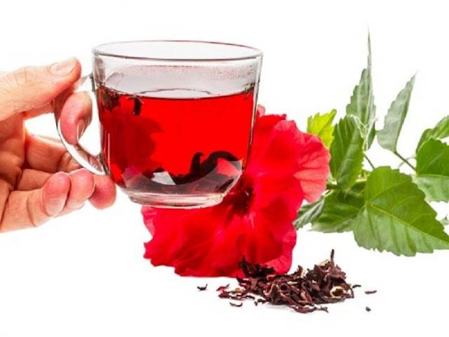 Какой чай понижает или повышает давление, какой пить для нормализации давления