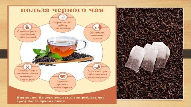 Чай в пакетиках: польза и вред для организма