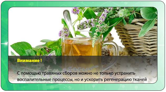 Чай для очищения организма от шлаков и токсинов