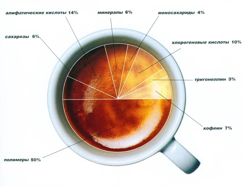 Химический состав и пищевая ценность кофе