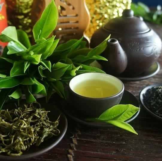 Вьетнамский чай, сорта и исскуство заваривания