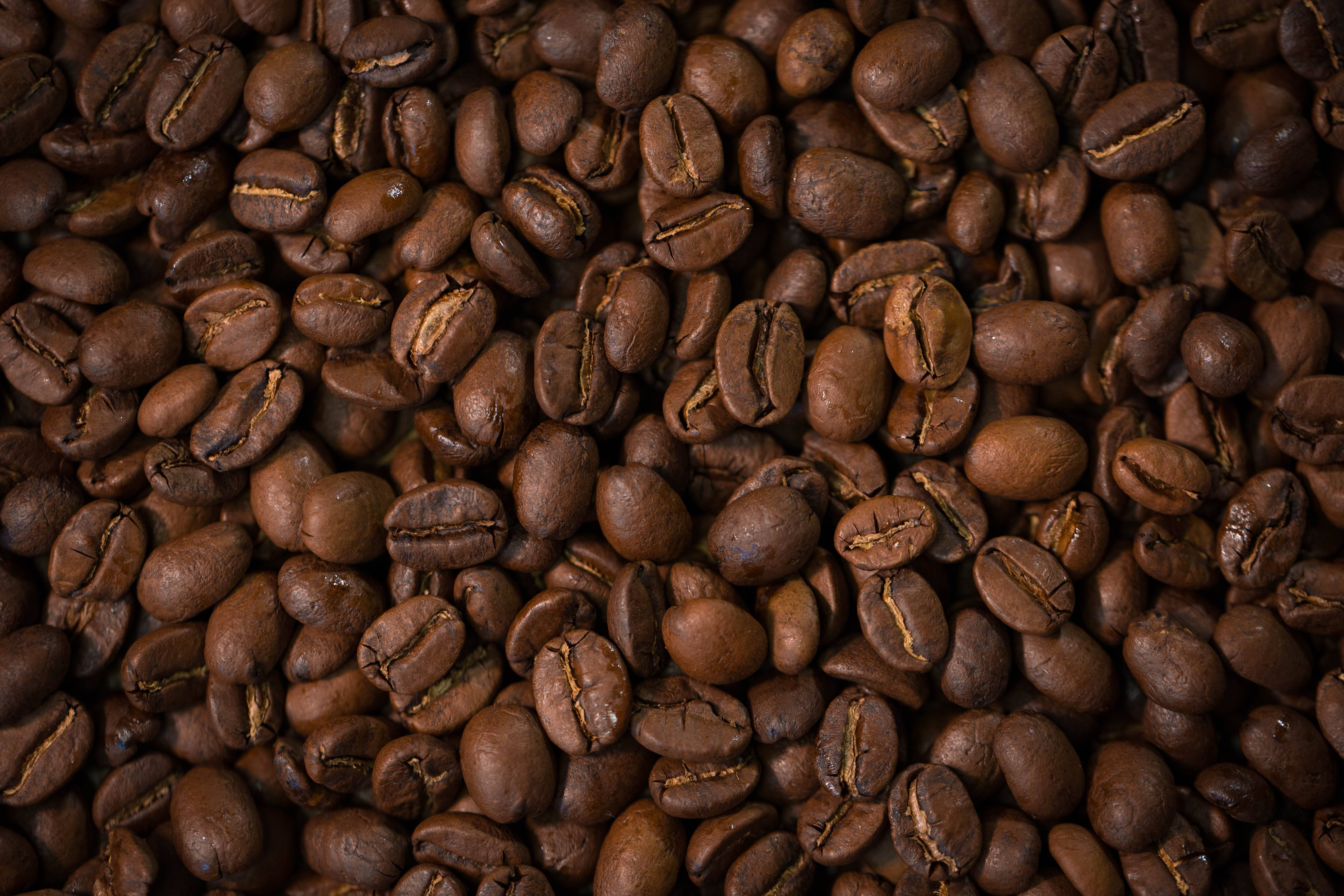 Мексиканский кофе | сорта кофе