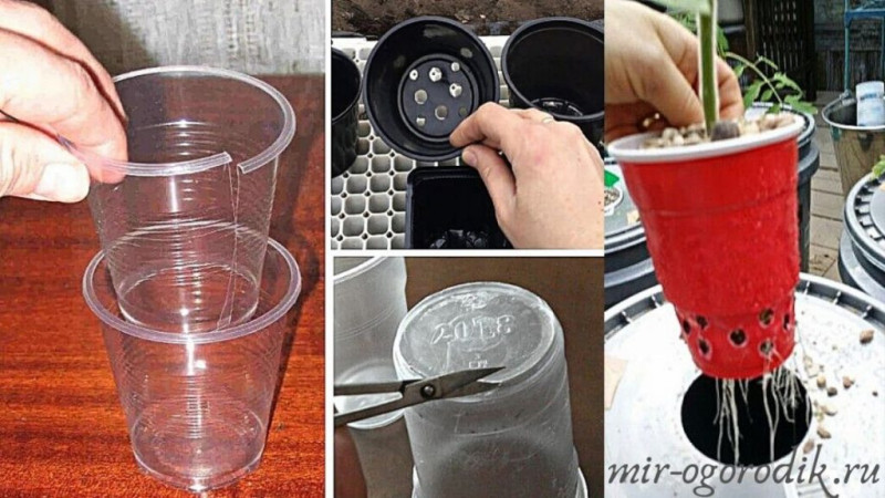 Новый взгляд на пластик: стаканчики, как материал для прекрасного кашпо