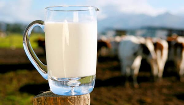Польза домашнего молока