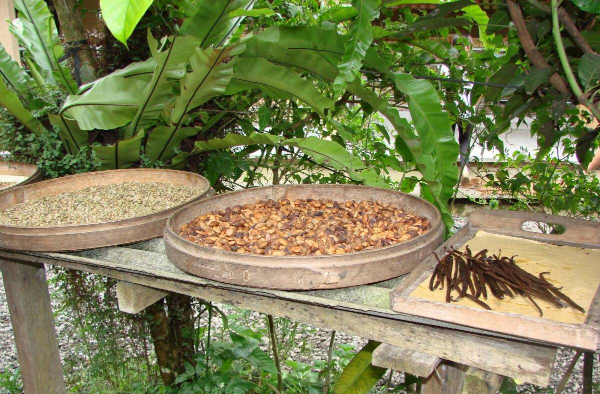 Индонезийский кофе