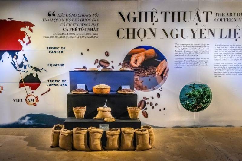 Кофейная индустрия во Вьетнаме – втором экспортере зерен в мире