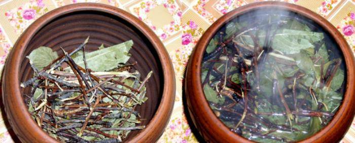 Польза и вред чая из ягод, листьев, веток вишни – хорошие привычки