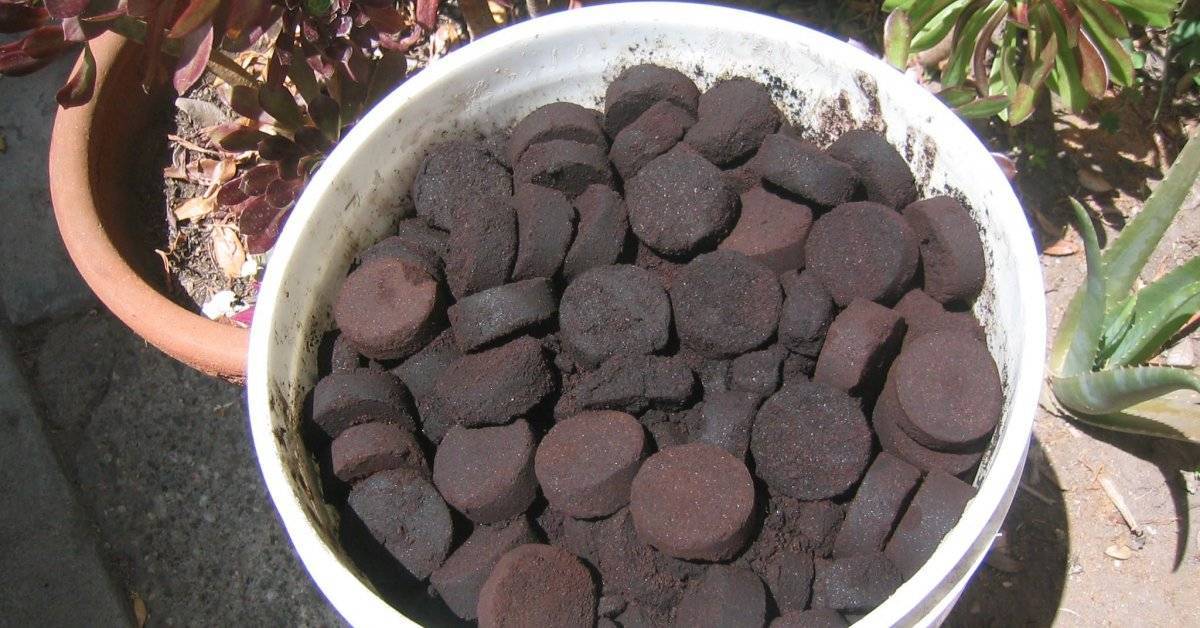 Как использовать кофейный жмых (гущу, спитой кофе)