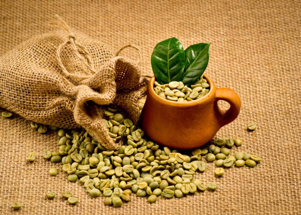 Зеленый кофе: польза и вред для здоровья
