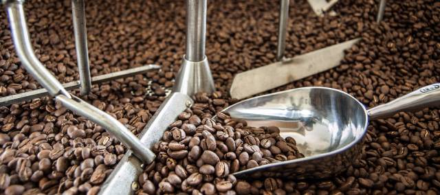 Правда ли, что робуста — показатель плохого кофе? отличия арабики от робусты, тельность напитка и горечь во вкусе