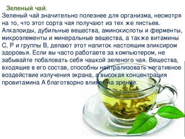 Зеленый чай - польза и вред для организма, свойства, действие напитка и противопоказания к применению