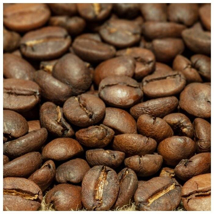 Кофе бурбон: описание, происхождение, особенности, виды