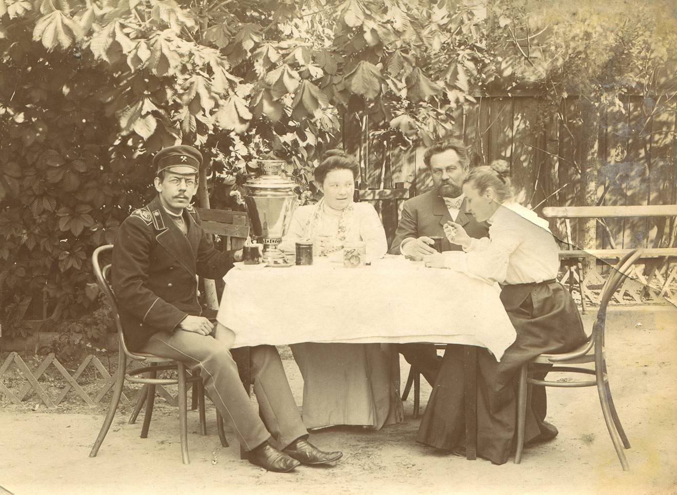 Золотой чай (Голден)