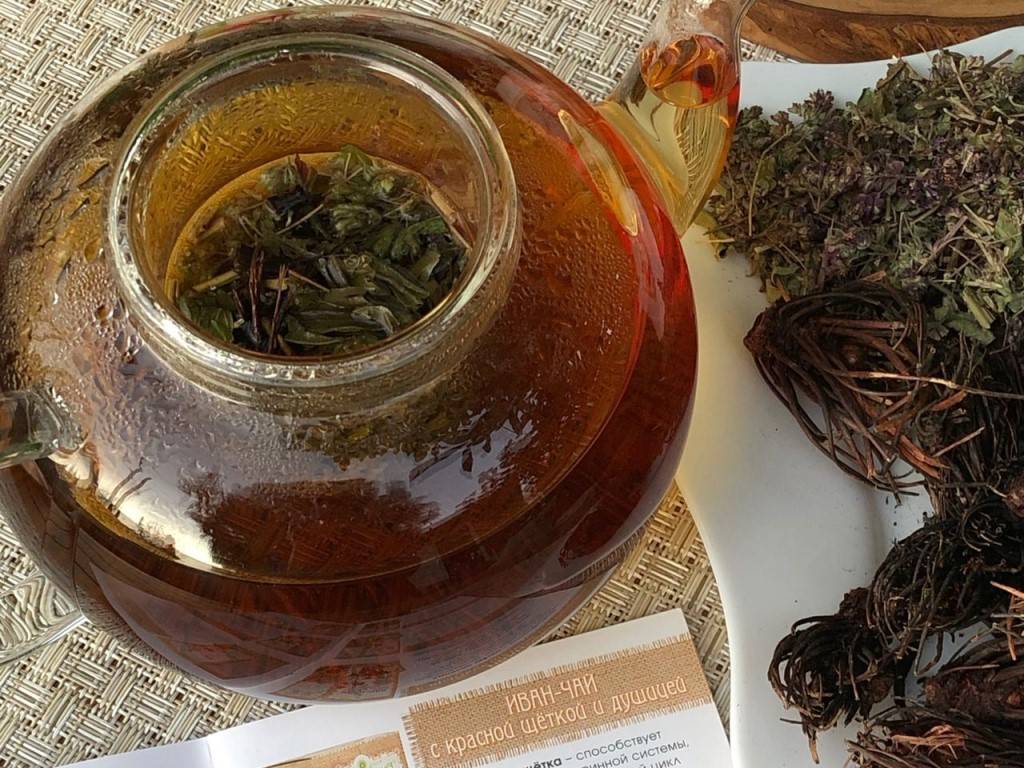 Чай с красной щеткой: лечебные свойства и противопоказания