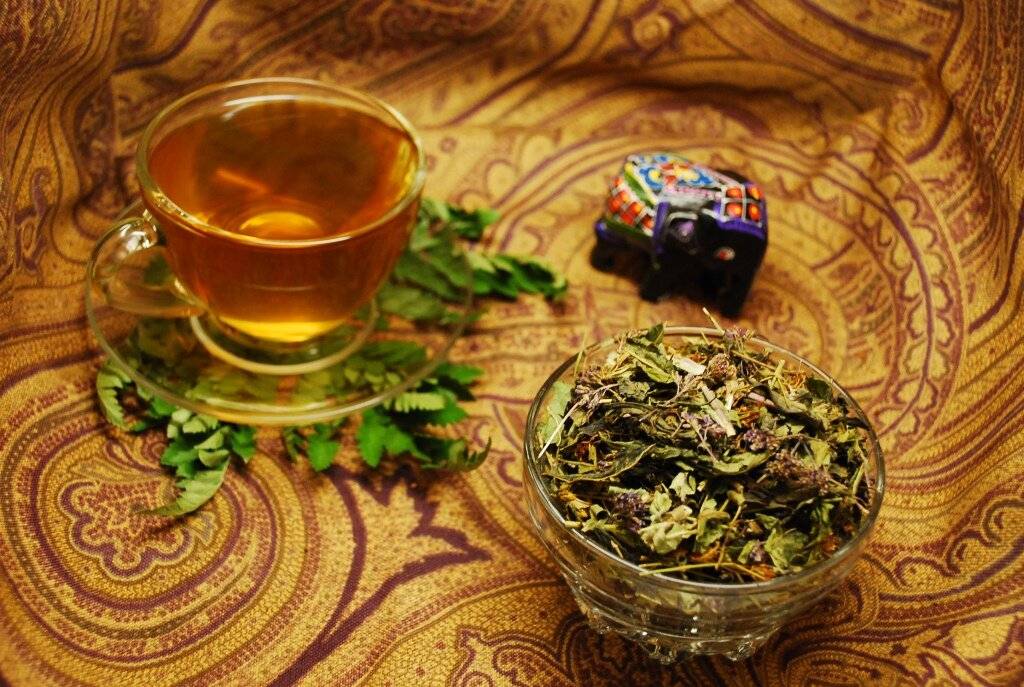 Топ-20 лучших травяных чаев для здоровья: обзор и особенности