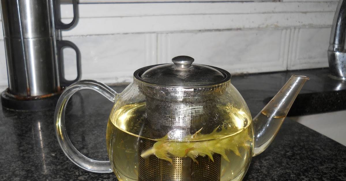 Мурсальский чай - полезные свойства и противопоказания