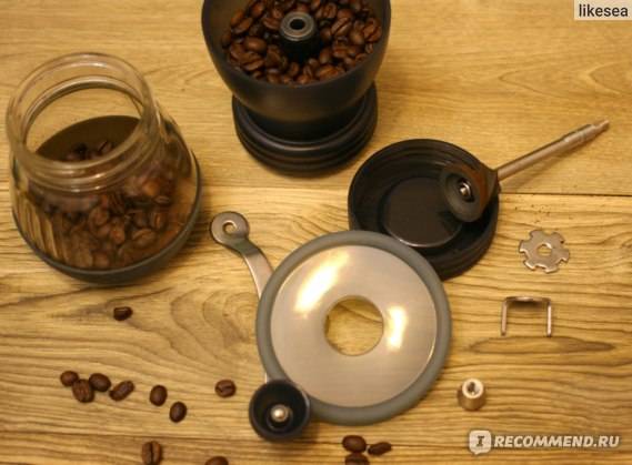 Как выбрать качественную кофемолку: разновидности и модели, какая лучше, отзывы