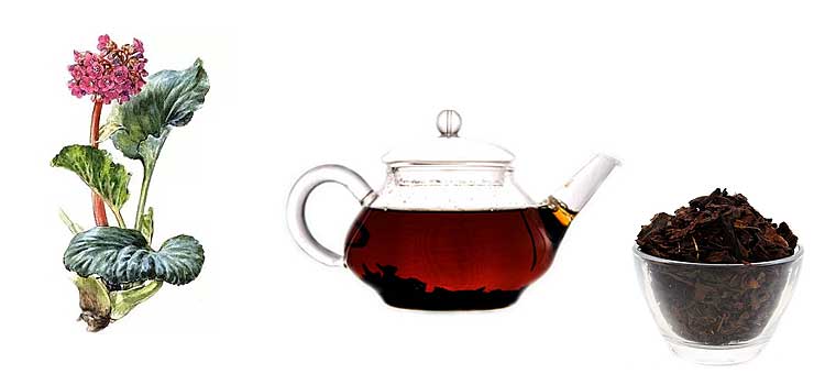 Чай из бадана