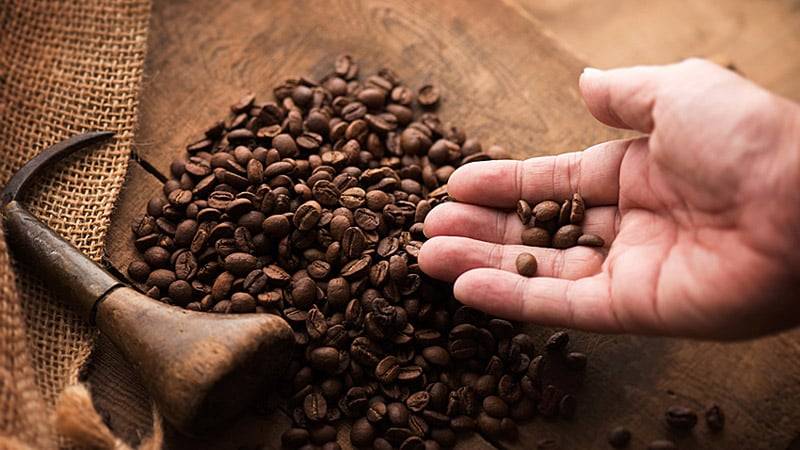 Характеристика индийского кофе