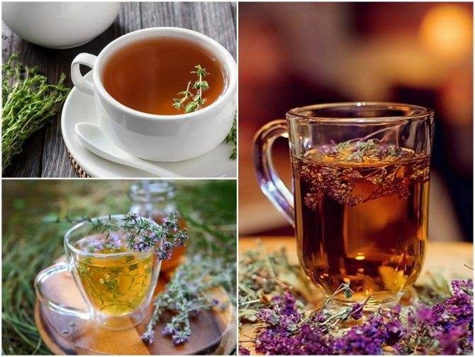 Чай с чабрецом - хорошее настроение и состояние расслабленности