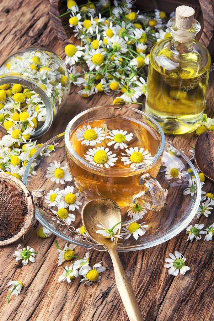 Ромашковый чай: польза и вред чая из ромашки, противопоказания, как приготовить
