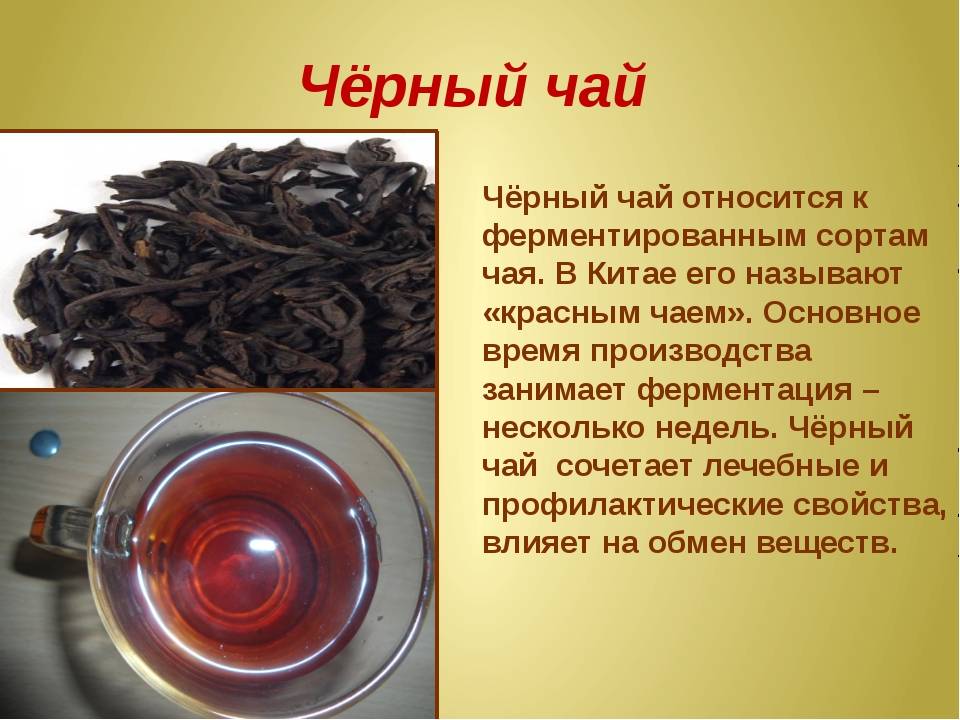 Знаменитый китайский чай - всё о видах и сортах. исторические факты, легенда