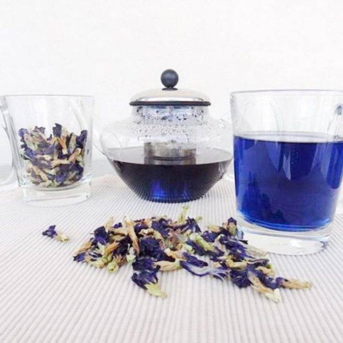 9 полезных свойств пурпурного чая Чанг-шу (+как его правильно пить)