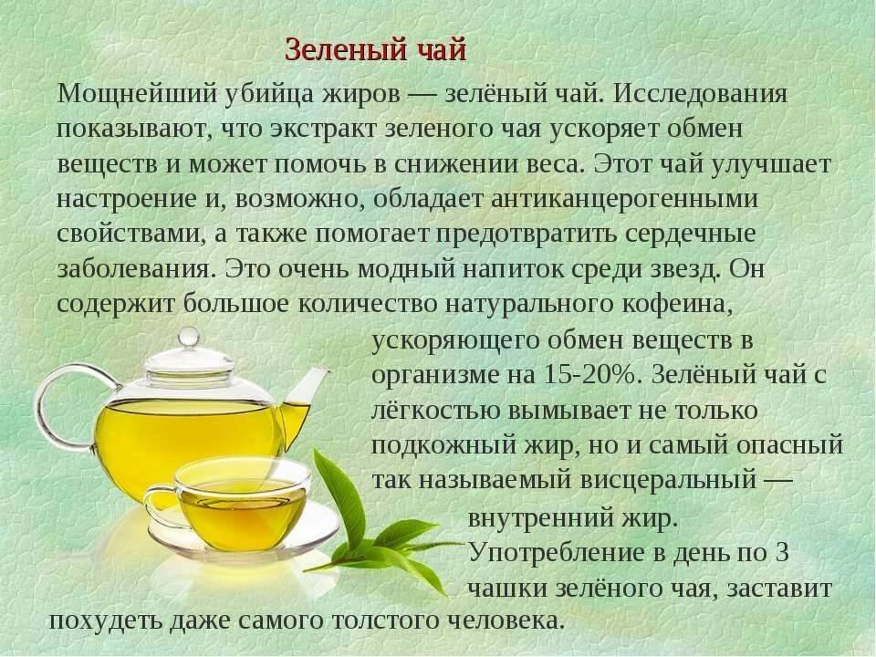 Свойства и воздействие зеленого чая на организм