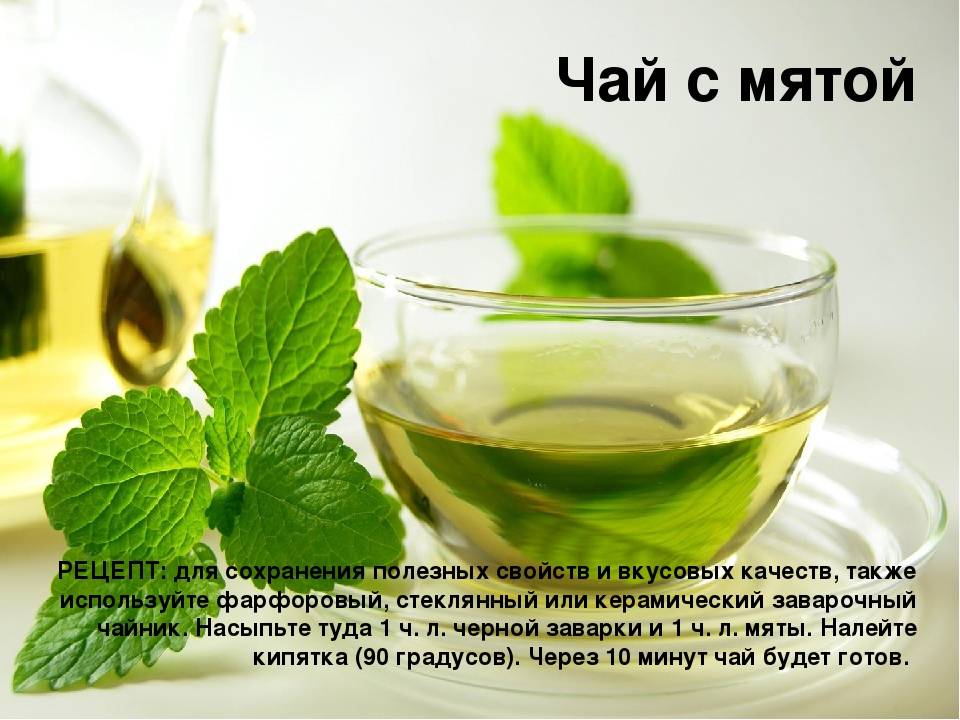 Чай с мятой польза и вред для организма женщины, мужчины и детей