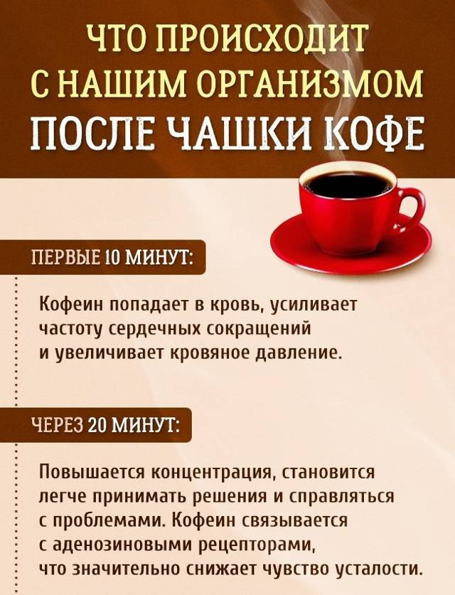 Как кофе может довести вас до истерики: личный опыт редактора vogue | vogue russia