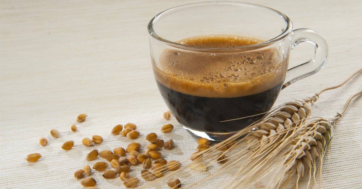 Ячменный кофе: польза и вред для организма