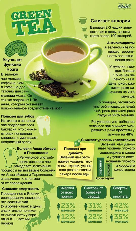 Польза и вред кофе для организма