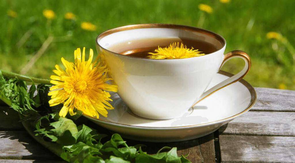 Польза и вред чая из одуванчиков: рецепт из корня, листьев, цветков